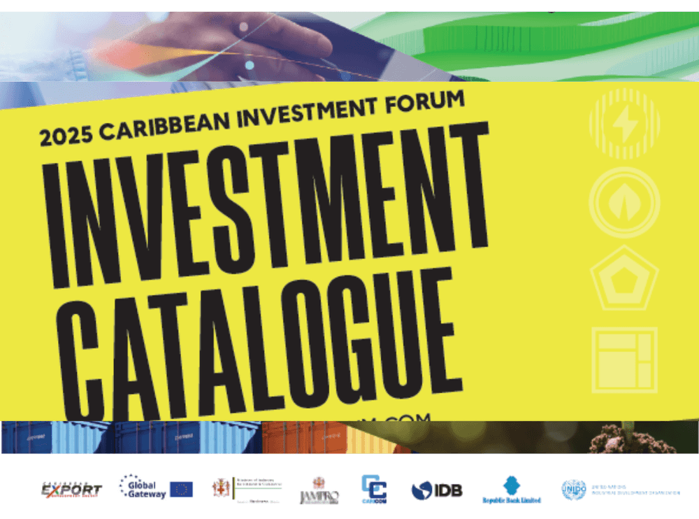 investment cat correct dimen (1)